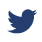 Condividi su Twitter
